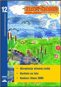 Złoty Środek 12. W nim m. in. akceptacja własnej osoby, kuchnia na lato, Stene 2005